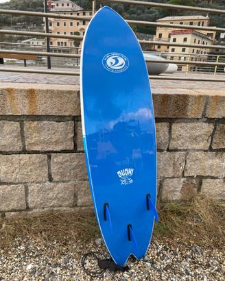 Tavola surf CBC 6.2 Fish