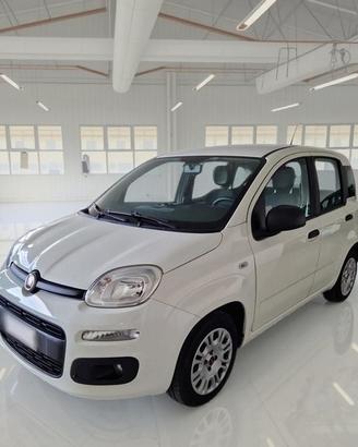 FIAT PANDA 1.2 69 CV SES E6D-TEMP EASY 5 PORTE BER