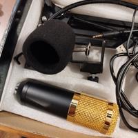 Microfono Condensatore Professionale