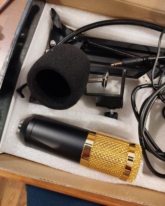 Microfono Condensatore Professionale