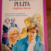 Una storia pulita - Guglielmo Zucconi