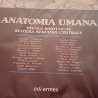 libri anatomia umana