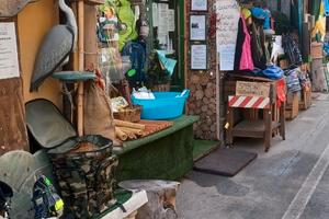 Attività Commerciale Ben Avviata a Garessio -