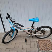 bicicletta bici bambino