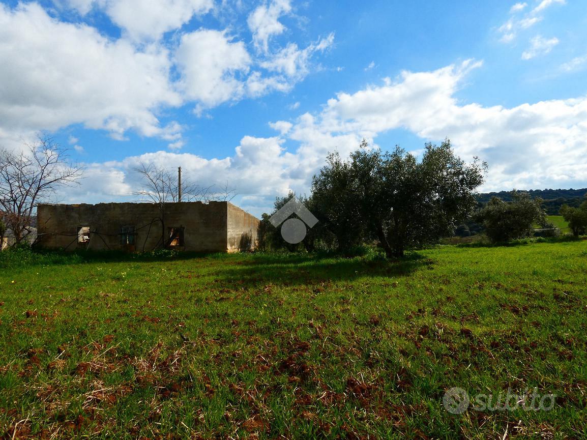 5 LOCALI A ROTONDELLA - Altro