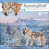 Cuccioli Cane Lupo Cecoslovacco