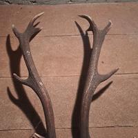 palco da arredamento 