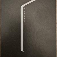 Samsung Galaxy S25 256GB 12GB Ram dual sim Silver