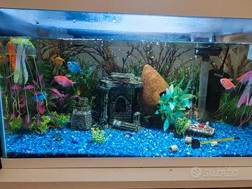 acquario completo