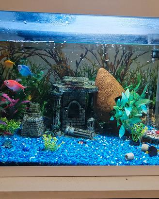acquario completo