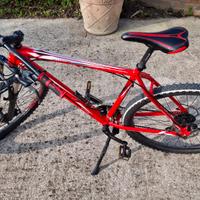 Mtb Lombardo con cerchi da 29