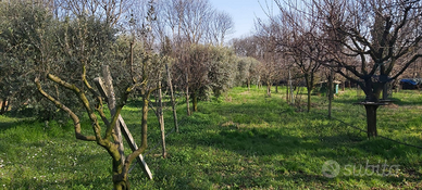 Terreno agricolo a Calino