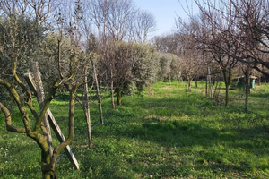 Terreno agricolo a Calino