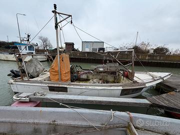 Fantasy Fish F.lli Longo