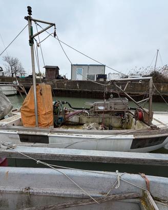 Fantasy Fish F.lli Longo