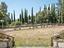 Immagine 13