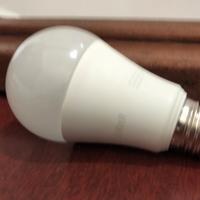 lampadina 