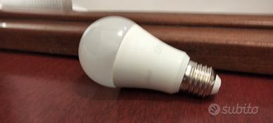 lampadina 