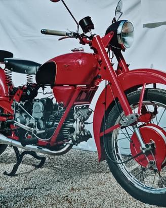 MOTO GUZZI FALCONE 500 1956