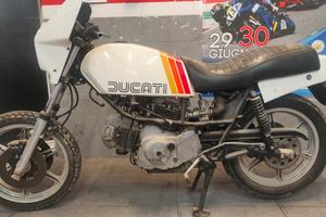 ducati pantah XL DL 350 