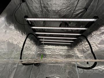 Lampada led lumatek zeus 600 pro