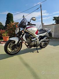 Suzuki sfv gladius 650 2011