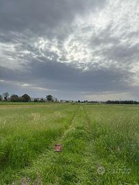 Terreno agricolo novoli (pozzo nuovo)