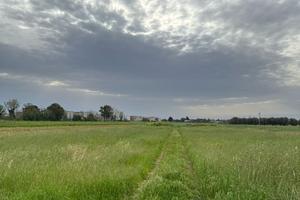Terreno agricolo novoli (pozzo nuovo)
