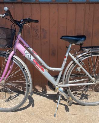 Bicicletta