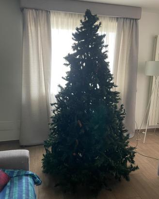 Albero di natale