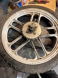 Cerchio posteriore  Grimeca