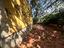 Immagine 22