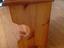 Immagine 6