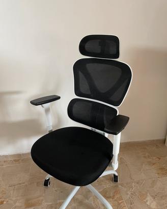 Sedia ergonomica