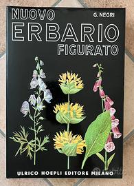 “Nuovo erbario figurato” di G. Negri