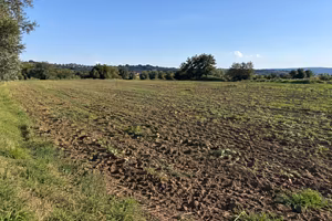 Terreno Agricolo - Massa