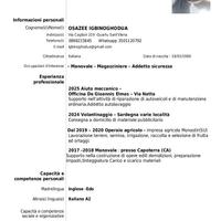 Manovale, Vigilanza, Facchinaggio