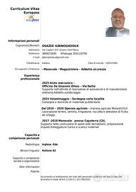 Manovale, Vigilanza, Facchinaggio