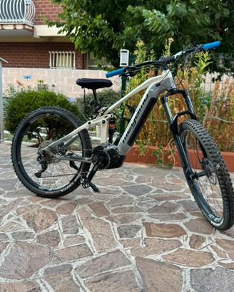 E bike