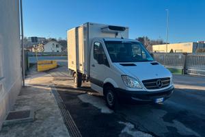 Mercedes sprinter frigo