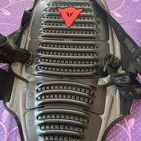 Paraschina Dainese