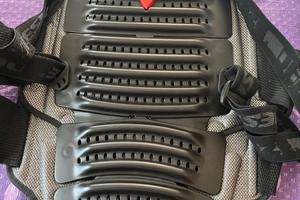 Paraschina Dainese