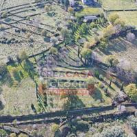 Terreno Agricolo - Randazzo