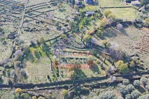 Terreno Agricolo - Randazzo