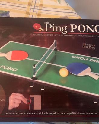 Mini Ping Pong