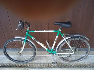 Bicicletta da uomo con cambio