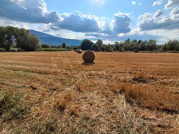 Bazzano vendita terreno agricolo