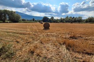 Bazzano vendita terreno agricolo