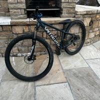 Bicicletta specialized da MTB
