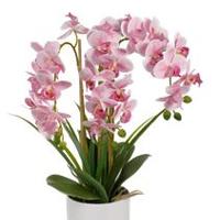 Pianta artificiale Orchidea Rosa cm. 60H
